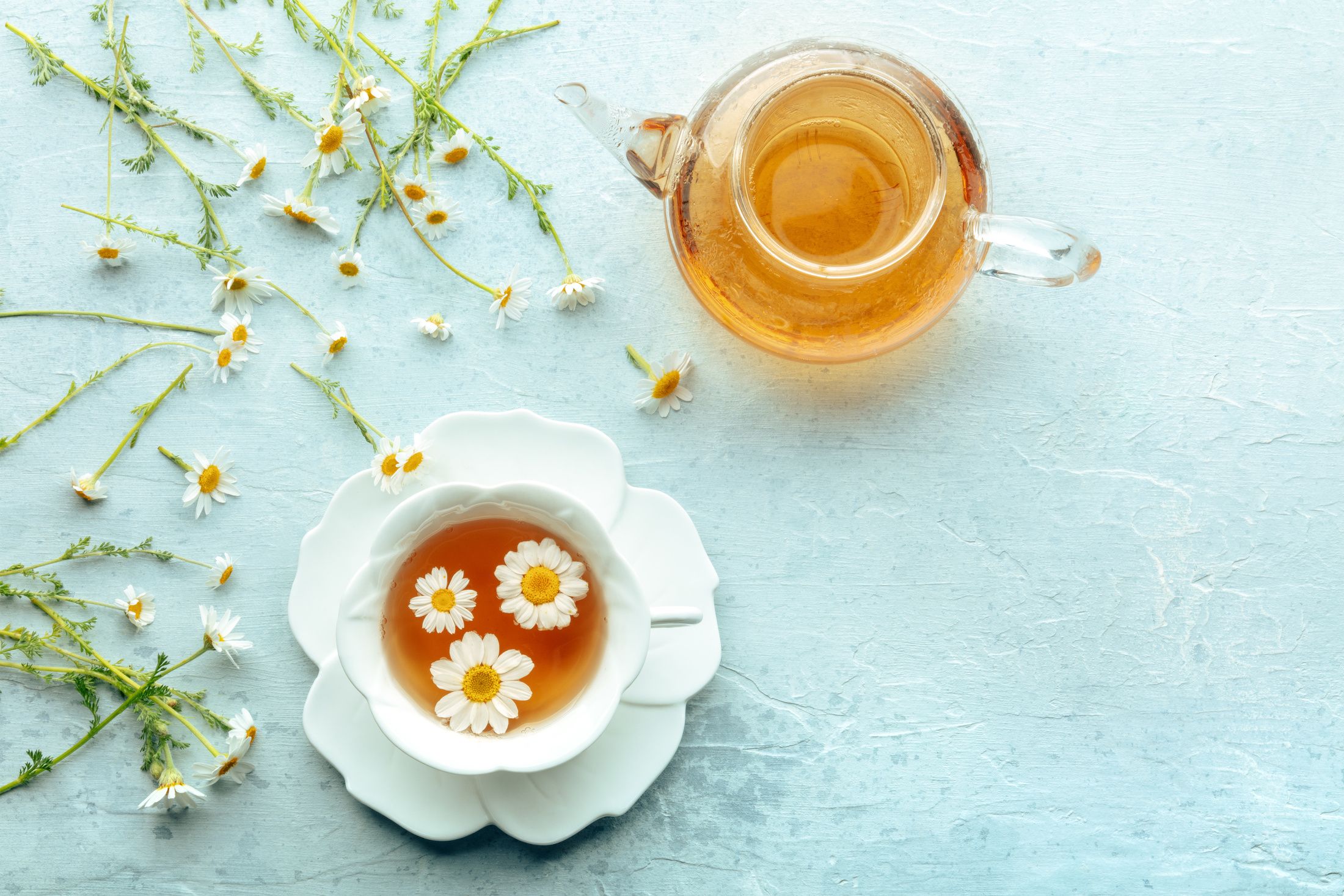 CHAMOMILE TEA-1